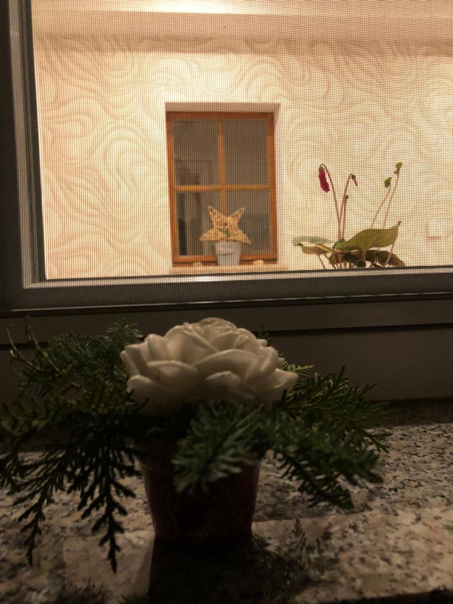 Willa Dirks Schmuckstuck Weisswasser Zewnętrze zdjęcie